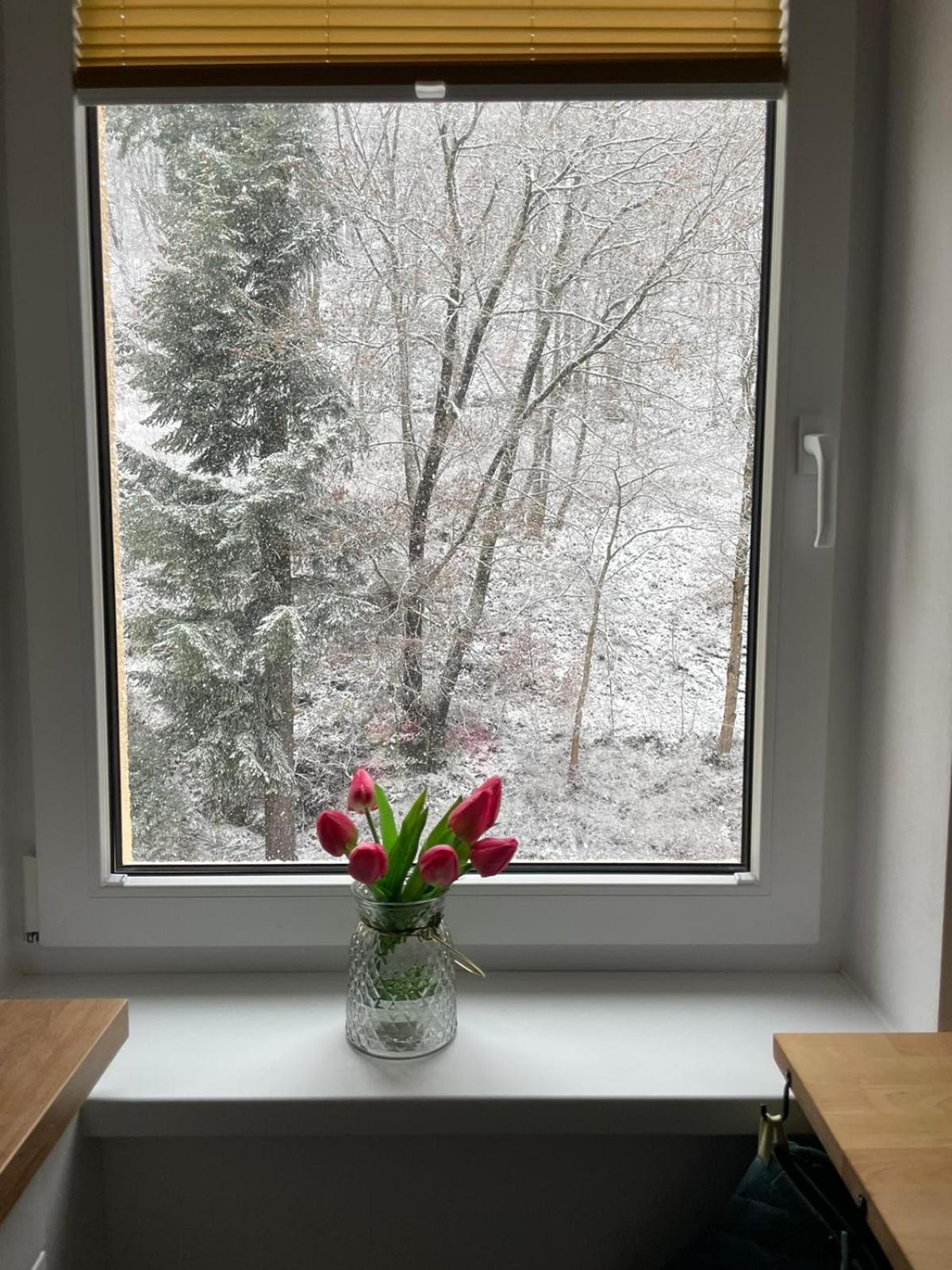 Apartman Claudia - Rezidence K Lanovce 야히모프 외부 사진